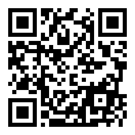 QR-код MAX